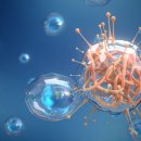 멍이랑 양이랑 이미지