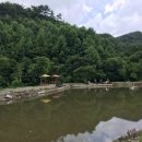양지별밤 이미지