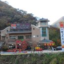 단풍두부 이미지