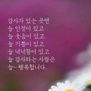 도원식당 티스토리