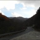 국립지리산자연휴양림 Daum카페