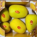 스토아마트 | 냉부해 햇님 망고참외 과일 구매처 가격