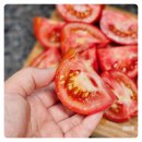 윤의열 농장 이미지