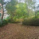 정지운선생묘 이미지