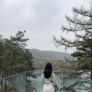 바인블루 이미지