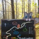 우면산유아숲체험장 Daum카페