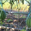 선사농원 이미지