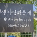 사랑애견펜션 이미지