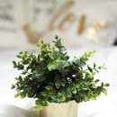 이매고교 내 이미지