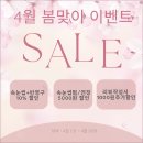 래쉬브로우 이미지
