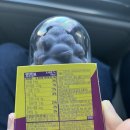 GS25 송산포도 | 새콤달콤 중독주의! GS25 편의점 신상 프로즌 포도 소르베 내돈내산 후기