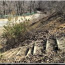 충북알프스자연휴양림 이미지