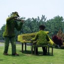 개미상사 이미지