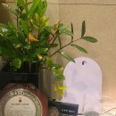 본이좋은치과의원 | ​[광진구 치과 추천] 인생 치과 발견! 군자역 좋은미소치과의원 내돈내산 찐후기 🦷✨