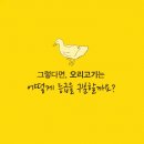 오리종합관리 이미지