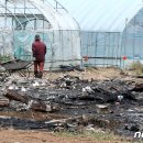 주문진읍사무소 1 이미지