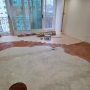 한진 | 구정마루 그랜드텍스쳐165 비비드 행당한진타운아파트 시공후기