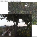 성진동물병원 이미지