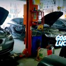 신화카클리닉 이미지