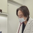 화이트동물메디컬센터 이미지