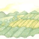 차 차(CHA CHA) 이미지