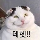 오드리하우스 | [대전 빵 맛집 '오드리브레드하우스'] 말차시루 4번 먹어본자의 대전빵지순례 빵투어 후기(말차케이크)