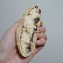 [강릉/베이커리] 요즘 힙한 인절미크림빵 모르는 사람 있어? 원조 인절미크림빵 &lt;빵다방&gt;