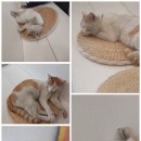 커피니스트 이미지