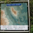 동아고속관광(주) 이미지