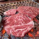 한우힘센놈 이미지