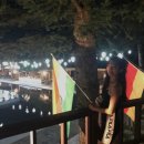 투개더 펫 | [남이섬] 가평 애견동반 여행 / 투개더펫파크 / 가평 애견동반 식당 추천 / 남이섬 주차