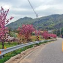 김창식효자문 이미지