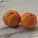 냄비에 추억을 담다 | [사상 분식] 냄비에 추억을 담다 🍨