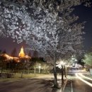 계명대학교 성서캠퍼스행소박물관 이미지