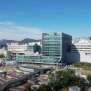 벌마들로 이미지