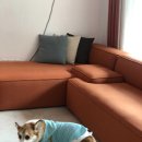 자니펜션
