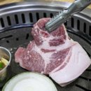 우리집흑돼지 이미지