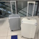 신혼여행 1일차 코스 (도치돌 알파카목장, 이호테우해변, 도두동 무지개해안도로, 그랜드하얏트호텔)