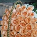 베트남여성의날 꽃배달 선물 미리준비하세요 ~~♥ 2016년10월20일 이미지