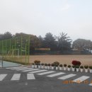 상자포