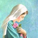 성빈센트 드뽈수녀회 이미지