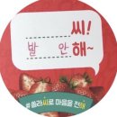 대드라 | 시험관 1차시도 세번째일기 채취 및 배아동결 결과