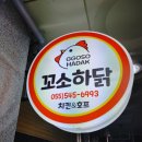 꼬소하닭본점 | 진해 마천동 꼬소하닭, ♥진해데이2