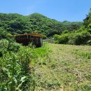 경주시내남면박달보건진료소 이미지