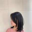 서울 동대문 회기역 미용실 단발 레이어드컷 잘 하는곳 &#34;세르피에헤어 시크릿점&#34; 헤어샵 후기