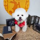 해피오브트리밍 이미지