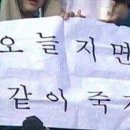 파이널위즈 이미지