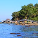 호미반도해안둘레길 이미지