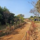 학림마을 이미지