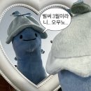 겨울과봄사이 이미지